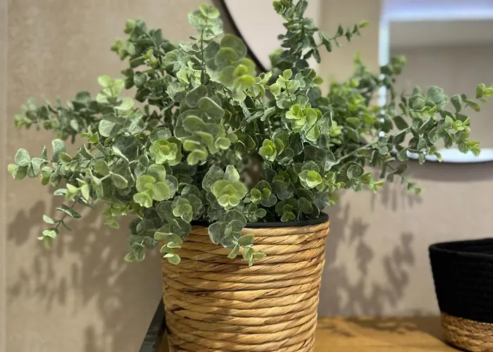 Apartment Loft En Altea